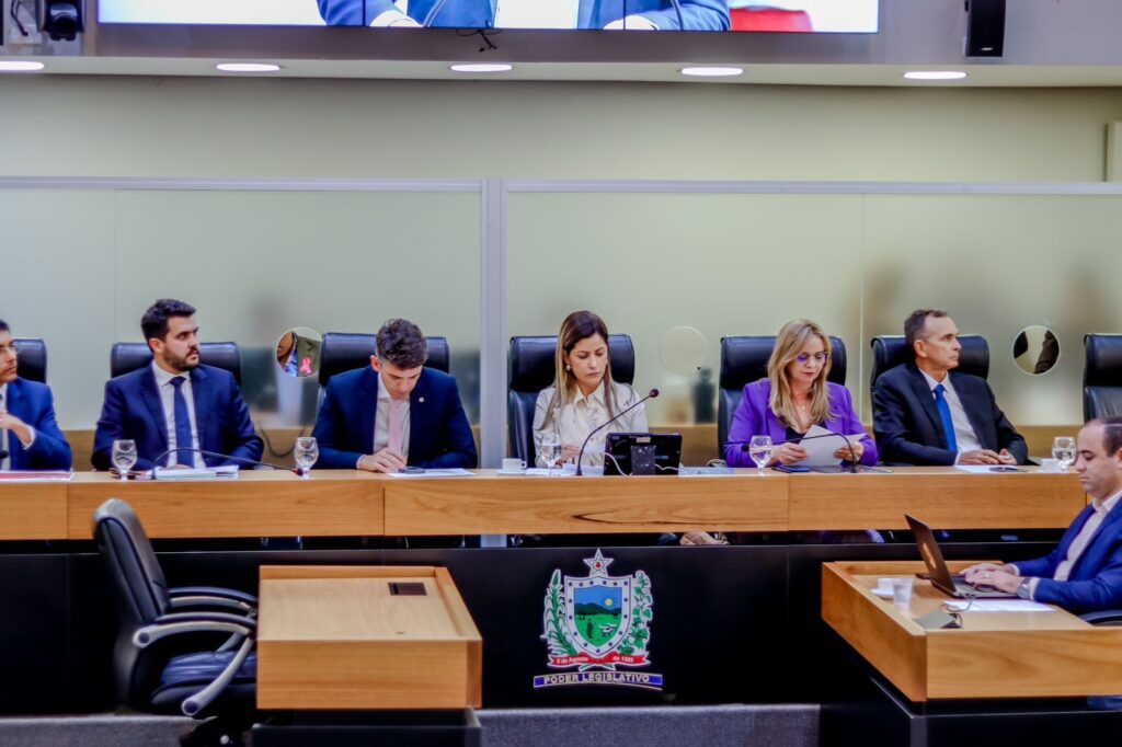 Danielle do Vale conduziu audiência pública que discutiu o PPA e a LOA 2024 - Foto: Reprodução/Assessoria