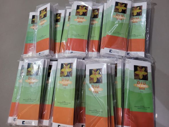 “Nós fomos convidados a participar de dois projetos de extensão”, disse Maysa Toscano, gerente da Atenção Básica do município – Foto: Assessoria