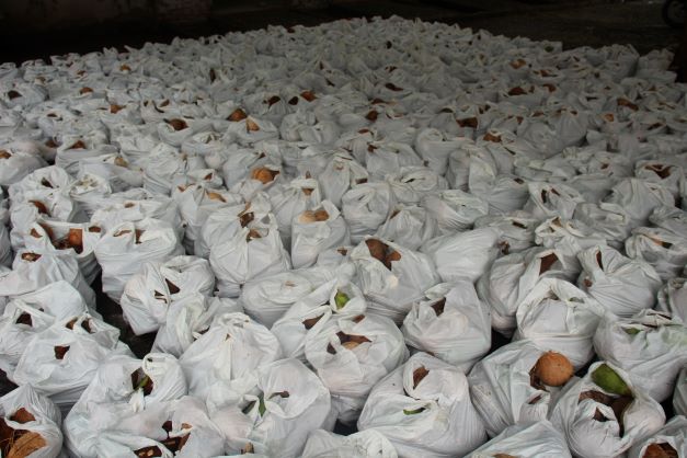 A distribuição dos alimentos ocorreu na sede do Centro de Referência da Assistência Social (CRAS) - Foto: Assessoria
